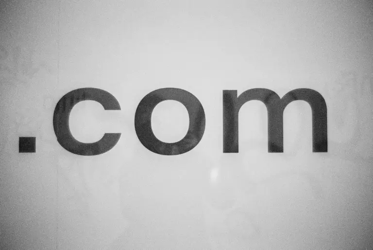 Domain disputes to stop trademark infringement